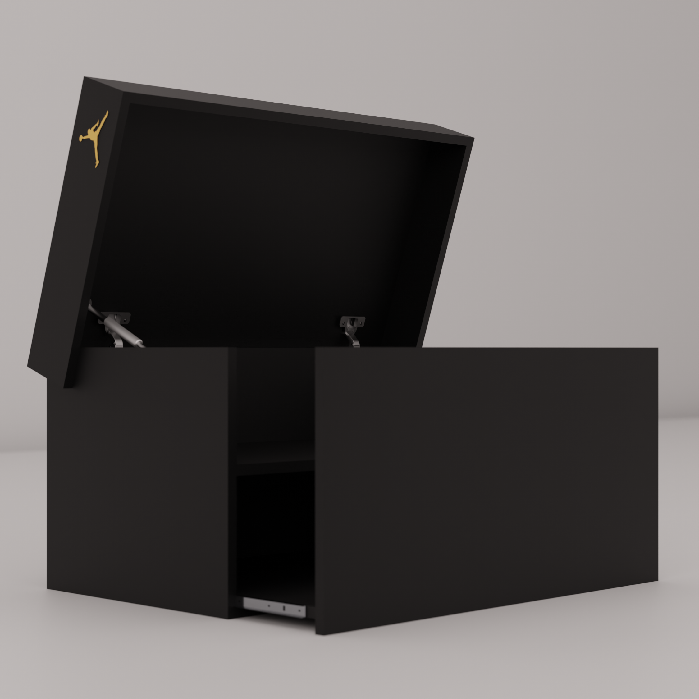 SHOEBOX JORDAN - "DMP"